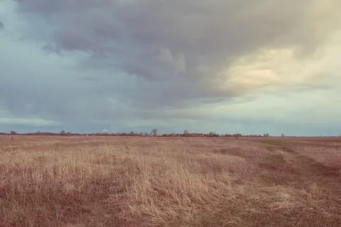 Cloudy dramatic sky over the autumn steppe. Bright dry field herbs. Stock Photos