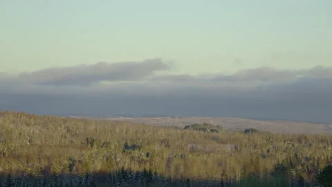 Cloudy dramatic sky winter forest valley in bright sunlight Stock Footage 255992630