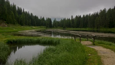 Cloudy Evening on a Forest Pond. Time Lapse Stock Footage 106454302