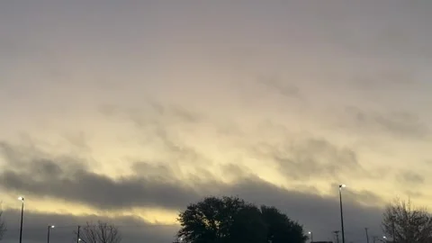Cloudy Evening Sky Above Tree Silhouette Stock Footage 344593719