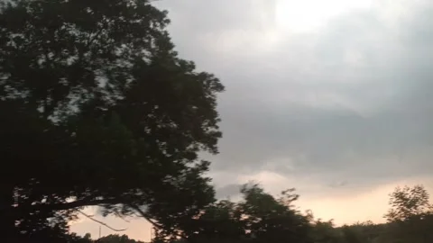 Cloudy evening sky among the trees Видео 197041672