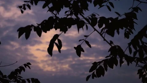 Cloudy evening sky Stock Footage 157763473