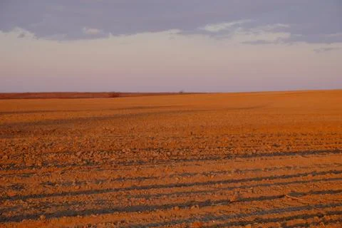 Cloudy evening sky over an empty agricultural field. Bright sunset landscape. Stock Photos