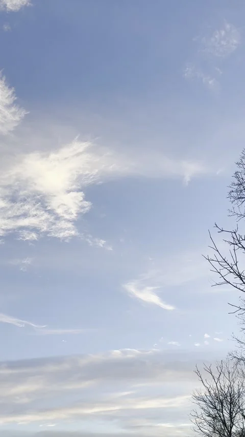 Cloudy Evening Sky with Tree Branch Silhouette Stock Footage 344601387
