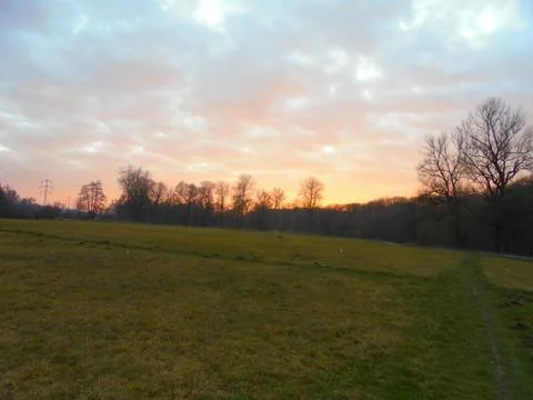 Cloudy evening in snowless winter at meadow with a few trees in the background. Foto stock