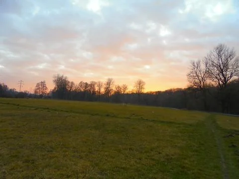 Cloudy evening in snowless winter at meadow with a few trees in the background. Foto stock