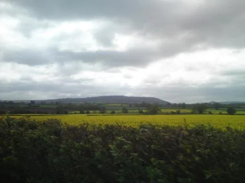 Cloudy field Фото