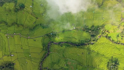 Cloudy fly over rice terrace in Bali Stock Footage 340968259