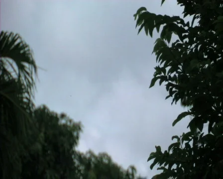 Cloudy Video stock 782202