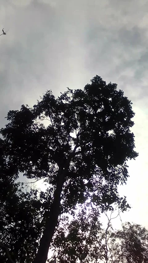 Cloudy Stock Footage 220908052