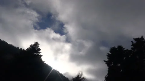 Cloudy Forest (2) Vidéo 47978936