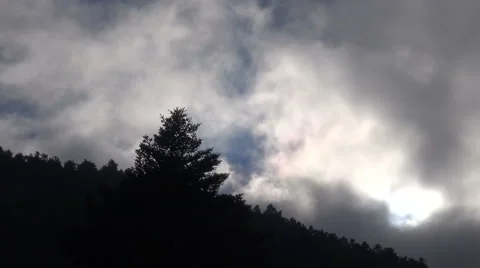 Cloudy Forest (3) Stock Footage 47979604