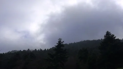 Cloudy Forest (4) Видео 47980721