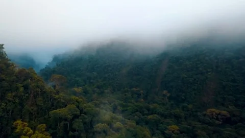 Cloudy Forest Ecuador Mountain Landscape View - Aerial Drone Footage Stock Footage 123082000