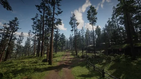 Cloudy forest real time sunny Stock Footage 266759806