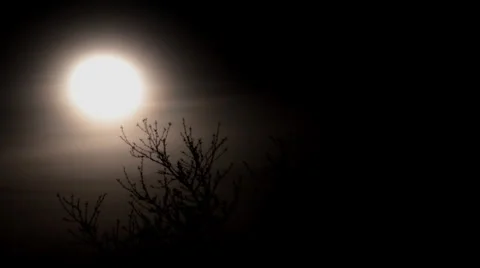 Cloudy full moon rising over trees Stock Footage
