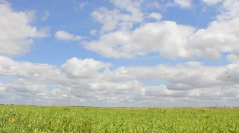 Cloudy Green Field Stock-Footage 8600673