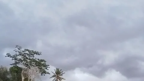 Cloudy with gusts of wind blowing Stock Footage 315166362
