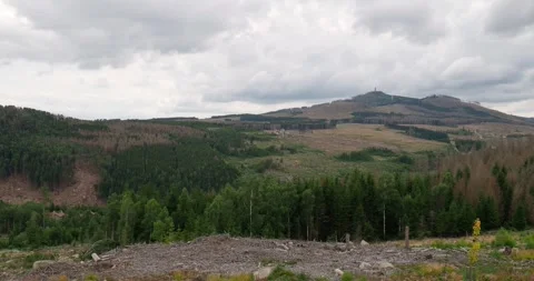 Cloudy Harz mountains nature landscape panorama Germany Stock Footage 247983876