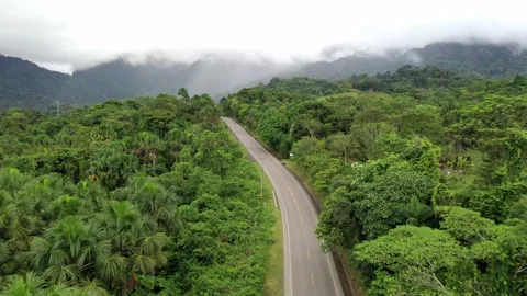 Cloudy highway on the amazon rainforest on a cloudy day Stock Footage 219413413