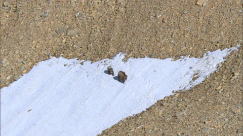 Cloudy Himalaya Mountain Range Stock Footage 37434358