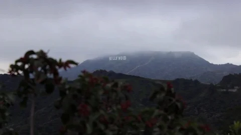 Cloudy Hollywood Sign Video stock 78541236