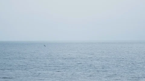 Cloudy horizon over the ocean 스톡 동영상 111184273