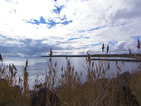 Cloudy lake in reeds area 動画素材 104029577