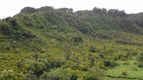 Cloudy Landscape in Hawaii Video stock 105374858