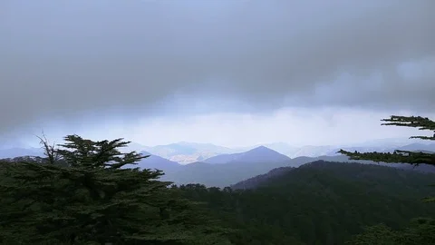 Cloudy landscape of pine forests in the mountains. Cedar Valley Stock Footage 75615188