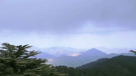 Cloudy landscape of pine forests in the mountains. Cedar Valley Stock Footage 75617646