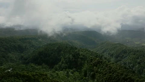 Cloudy landscape. Tropical rain forest jungle island Bali Stock Footage 236468767