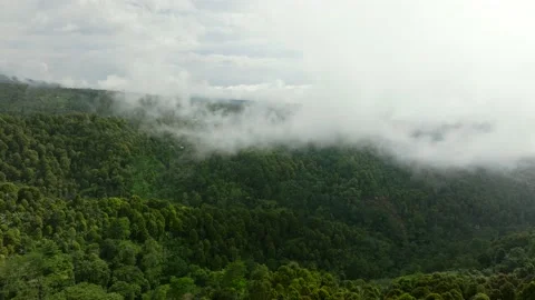 Cloudy landscape. Tropical rain forest jungle island Bali Stockbeeldmateriaal 236469693