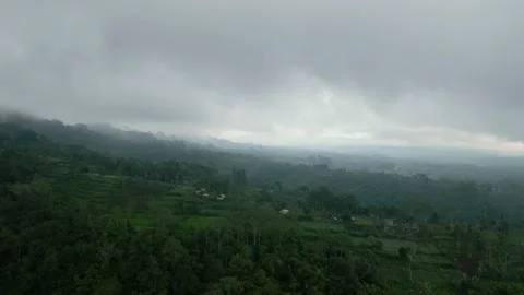 Cloudy landscape. Tropical rain forest jungle island Bali Stock Footage 237113371