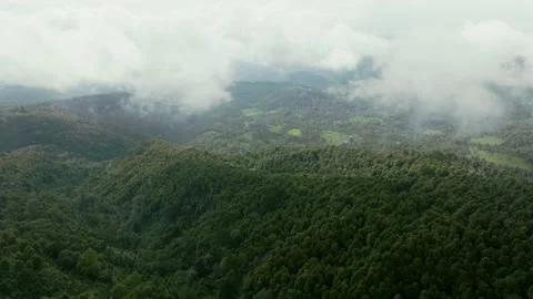Cloudy landscape. Tropical rain forest jungle island Bali Stock Footage 237464021
