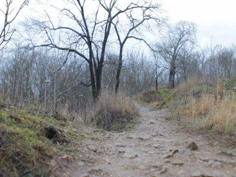 Cloudy Late Autumn Day Sequence Stock Footage 122585947