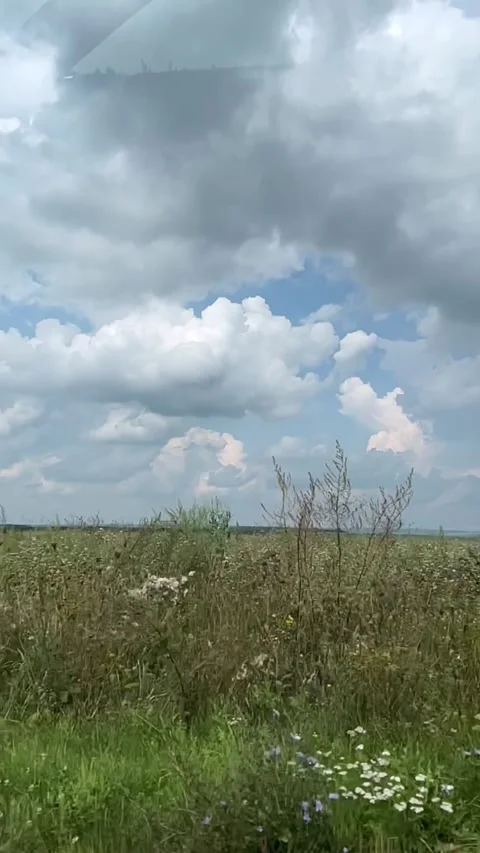 Cloudy Meadow Landscape Vertical View Stockbeeldmateriaal 344042237