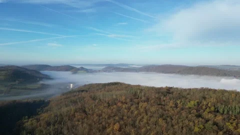 Cloudy morning forest Stock Footage 260305310