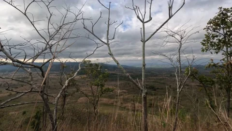 Cloudy morning long distance flat fields view from the top of Chu Bluk volcano Stock Footage 237211311