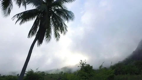 Cloudy Mountain 스톡 동영상 84428470