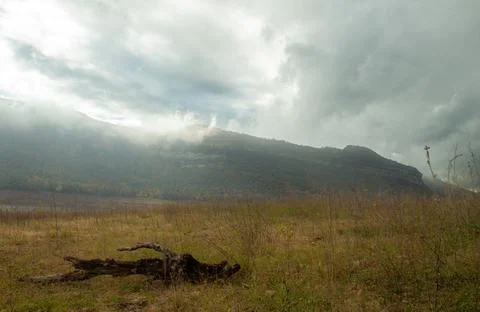 Cloudy Mountain Landscape with Fallen Tree Stock-Fotos