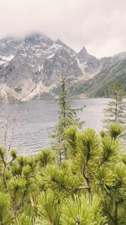 Cloudy Mountain Landscape with Forest Vertical 動画素材 344042418