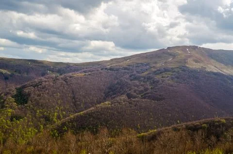 Cloudy Mountain Landscape with Forested Hills 库存照片