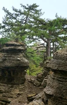 Cloudy mountain landscape Stock Photos