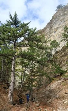 Cloudy mountain landscape Stock Photos