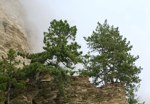 Cloudy mountain landscape Stock Photos