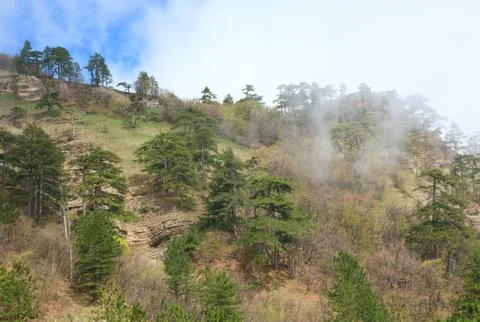 Cloudy mountain landscape Stock Photos