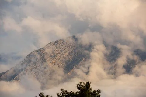 A cloudy mountain peak and pine trees Photos