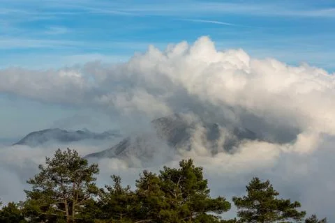 A cloudy mountain peak and pine trees Stock Photos