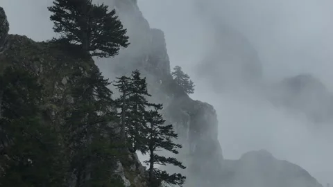 Cloudy mountain ridges and trees in a fog Stock Footage 251997898